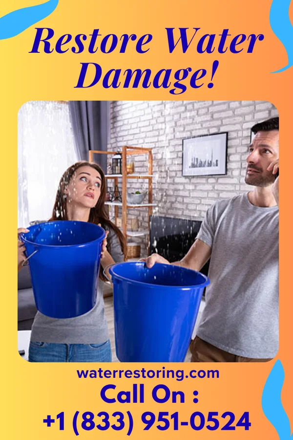water restoration Express Water Mitigation Force East Vandergrift