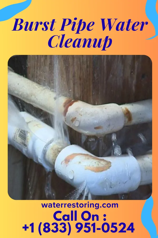 Burst Pipe Water Cleanup in East Vandergrift, PA