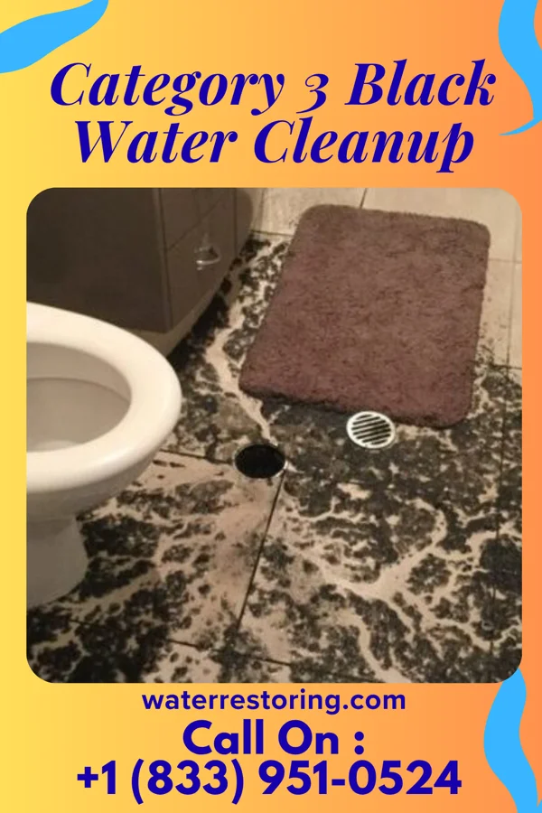 Category 3 Black Water Cleanup in East Vandergrift, PA