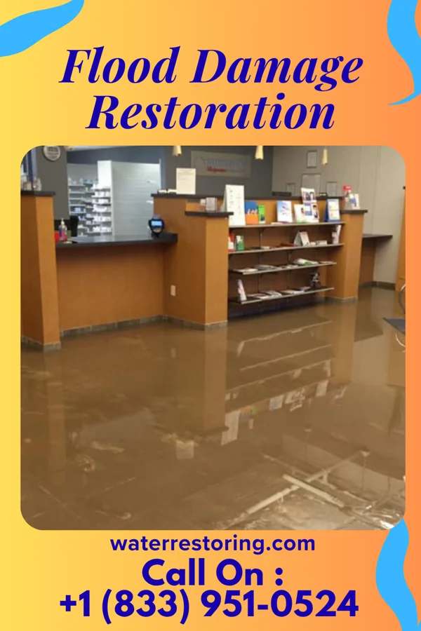 Flood Damage Restoration in East Vandergrift, PA