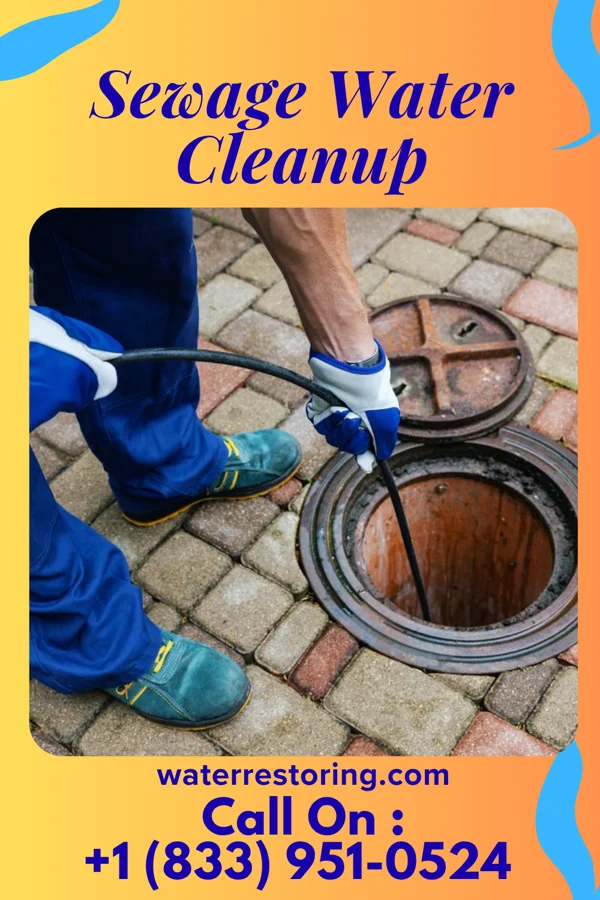 Sewage Water Cleanup in East Vandergrift, PA